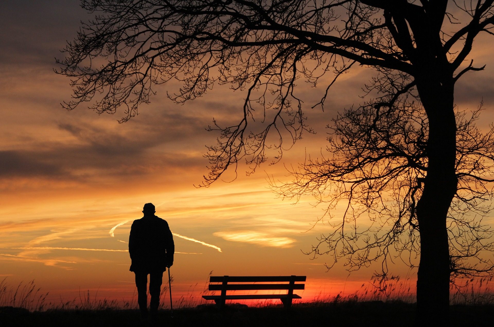 Successioni — al tramonto, una panchina sotto un albero